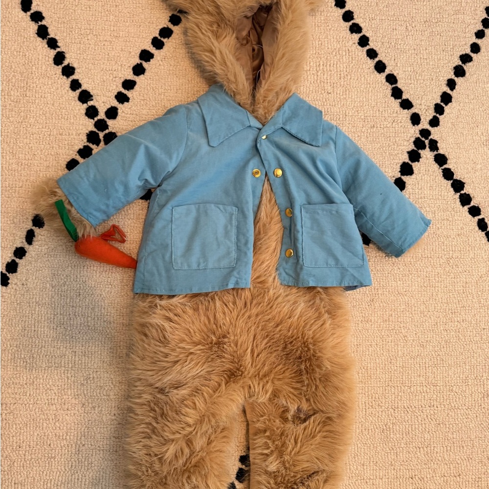 Pottery Barn Kids Blue and Brown Costume
